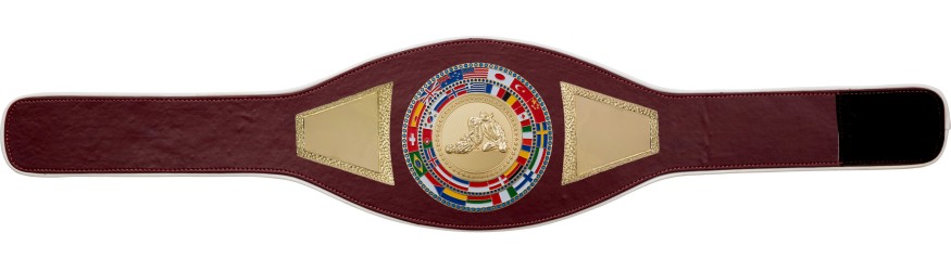 JIU JITSU CHAMPIONSHIP BELT-PROFLAG2/FLAG/G/JJG - VARIETY OF LEATHER COLOURS AVAILABLE JIU JITSU CHAMPIONSHIP BELT-PROFLAG2/FLAG/G/JJG - VARIETY OF LEATHER COLOURS AVAILABLE